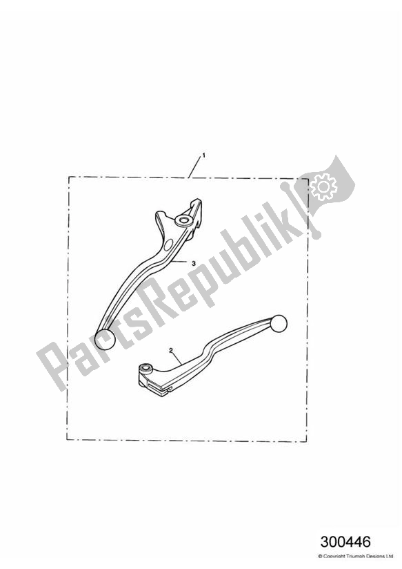 All parts for the Lever Kit, Handlebar of the Triumph America Carburettor 790 2002 - 2007